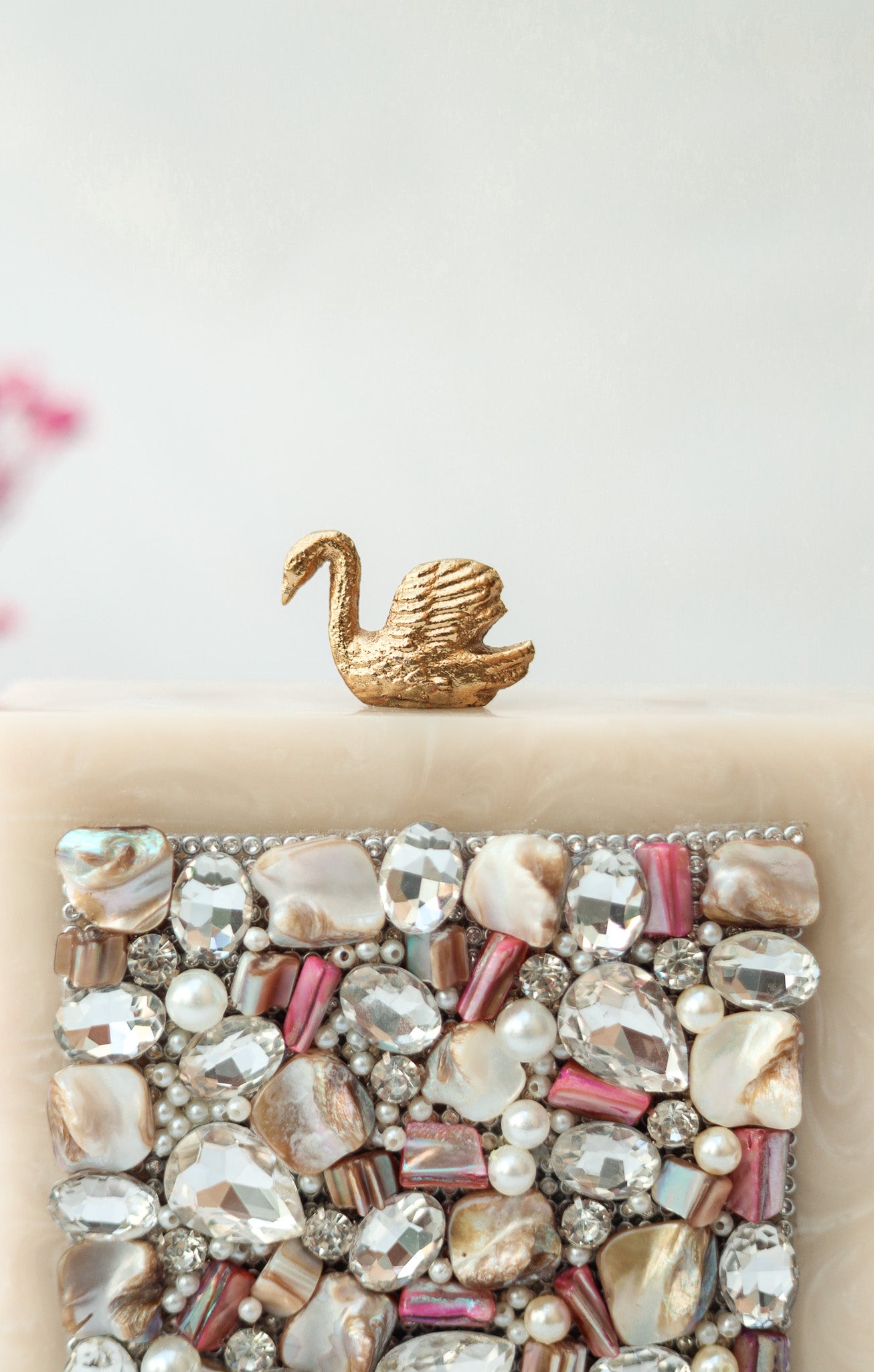 Acrylic Clutch Bag Women&