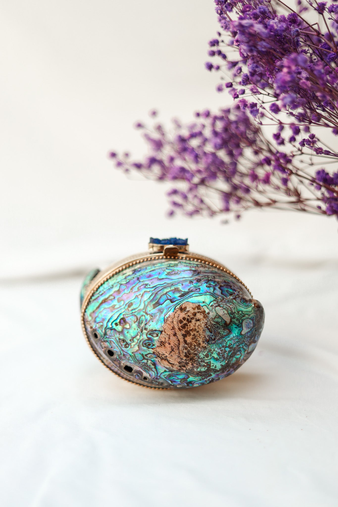 Best Clutch Purse For Wedding, Abalone Shell Clutch, Selomenika