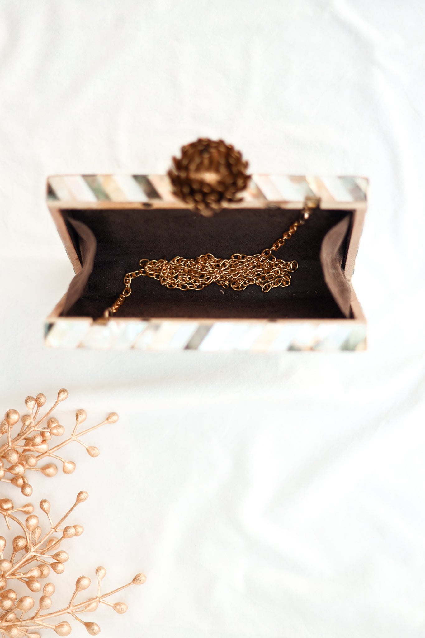 Carnelian Mother of Pearl Clutch