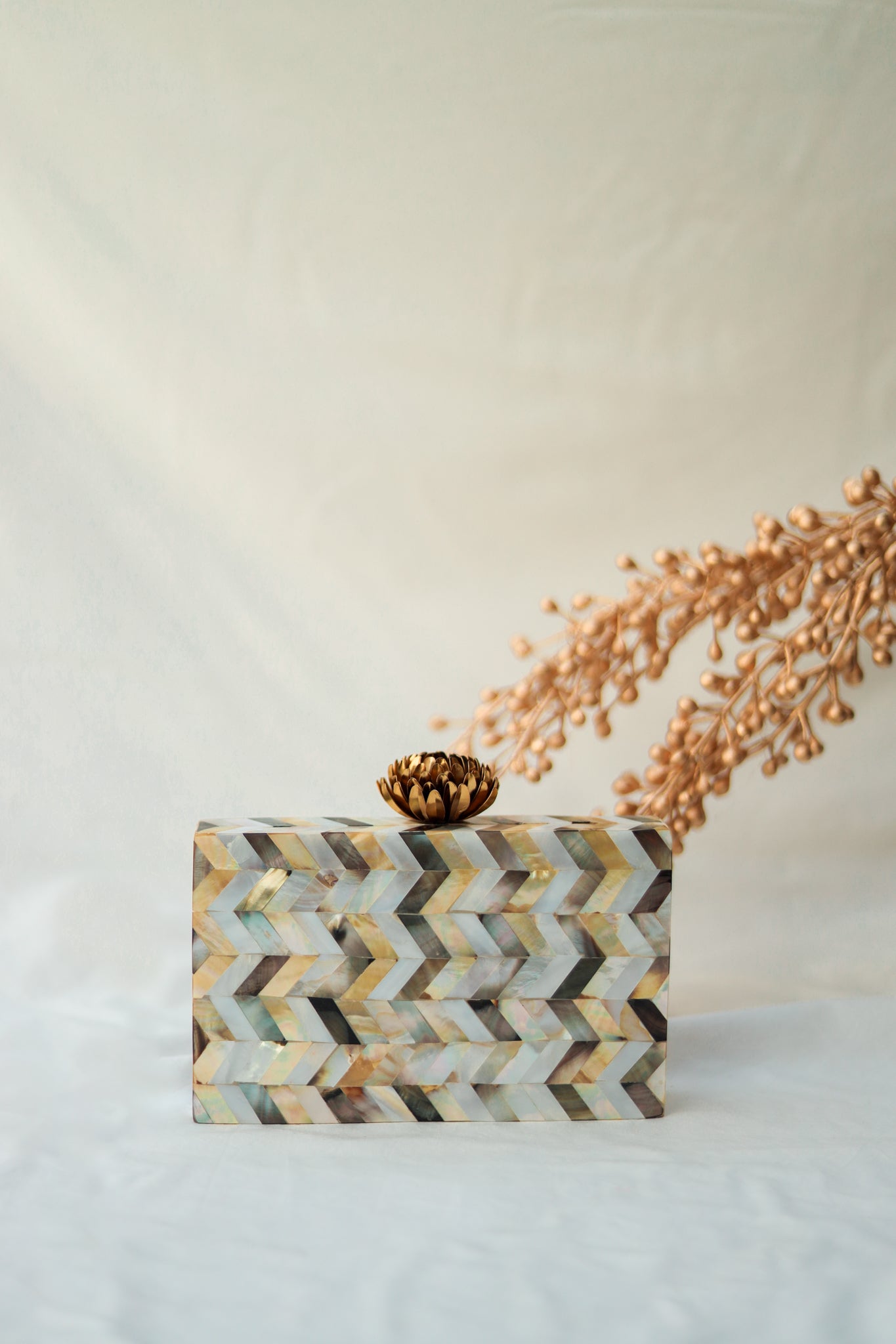 Carnelian Mother of Pearl Clutch