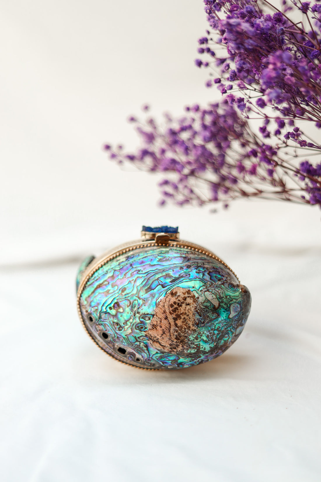 Best Clutch Purse For Wedding, Abalone Shell Clutch, Selomenika